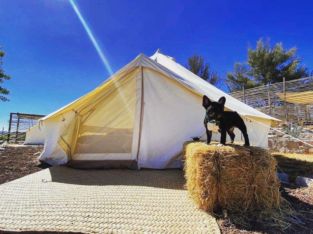 Nomada Glamping & Aguas Termales - X Nantli Living Luxury tent *