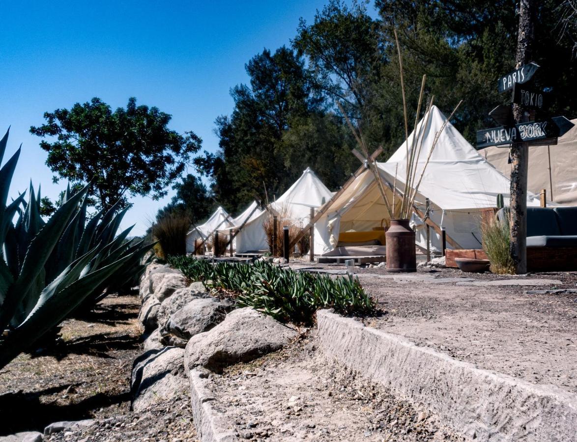 Nomada Glamping & Aguas Termales - X Nantli Living